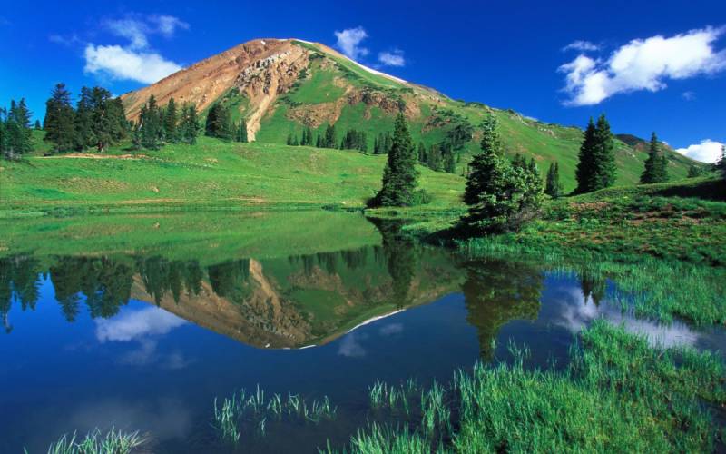 汽车保险出险记录大揭秘：轻松几步，信息尽在掌握